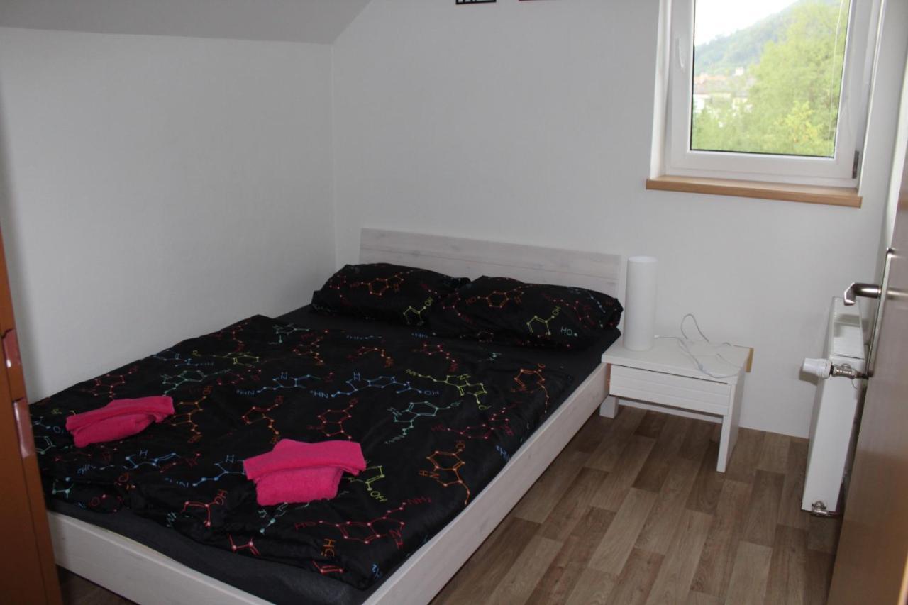 Apartman Rapotin, Jesenicka 296, 3Km Od Termalniho Parku Velke Losiny Екстериор снимка
